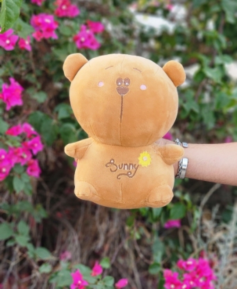 تصویر  عروسک خرسی