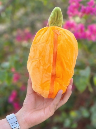 تصویر  عروسک خرگوش سوپرایزی هویجی