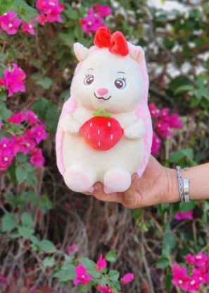 تصویر  عروسک خارپشت توت فرنگی دار