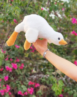 تصویر  عروسک غاز خوابیده