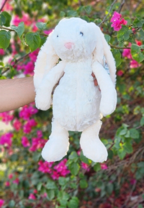 تصویر  عروسک جیلی کت اورجینال