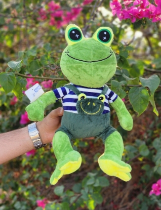 تصویر  عروسک قورباغه آقا