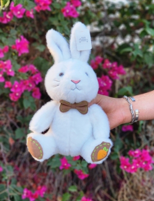 تصویر  عروسک خرگوش کف پا هویج