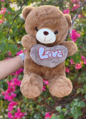 تصویر  خرس قهوه ای لاو به دست