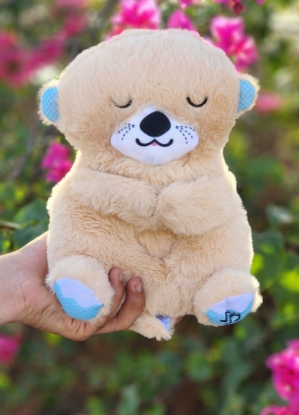 تصویر  خرس خروپف کن نخودی